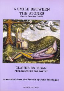 A Smile Between the Stones cover